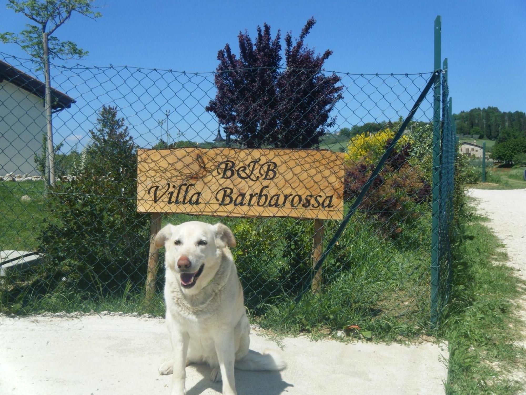 Petrignano B&B Villa Barbarossa מראה חיצוני תמונה