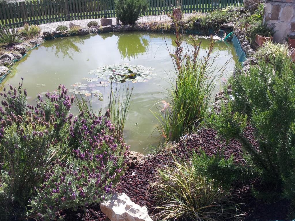 Petrignano B&B Villa Barbarossa מראה חיצוני תמונה