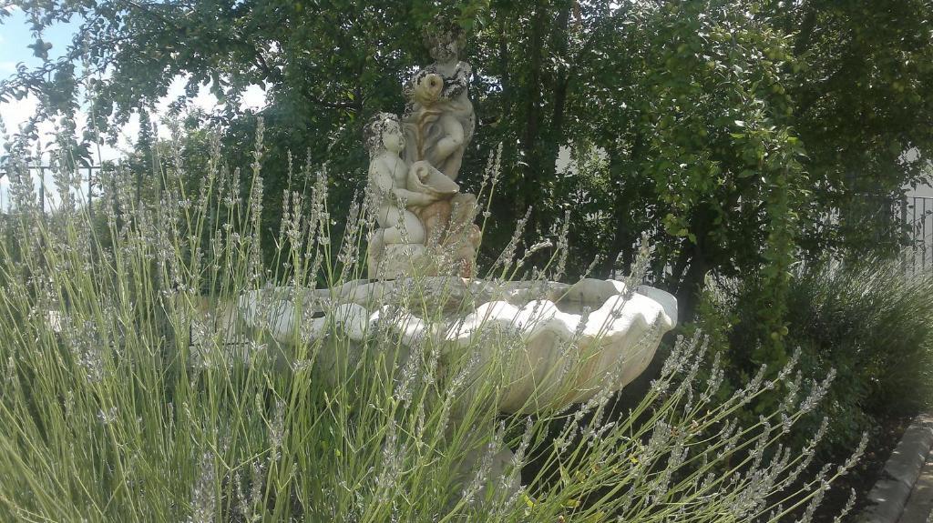Petrignano B&B Villa Barbarossa מראה חיצוני תמונה